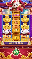 e88 · Fortune Rabbit